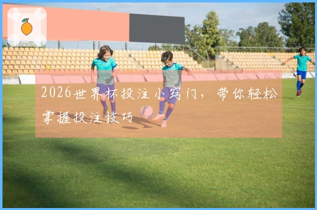 2026世界杯投注小窍门，带你轻松掌握投注技巧