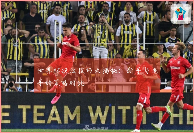 世界杯投注技巧大揭秘：新手与老手的策略对比