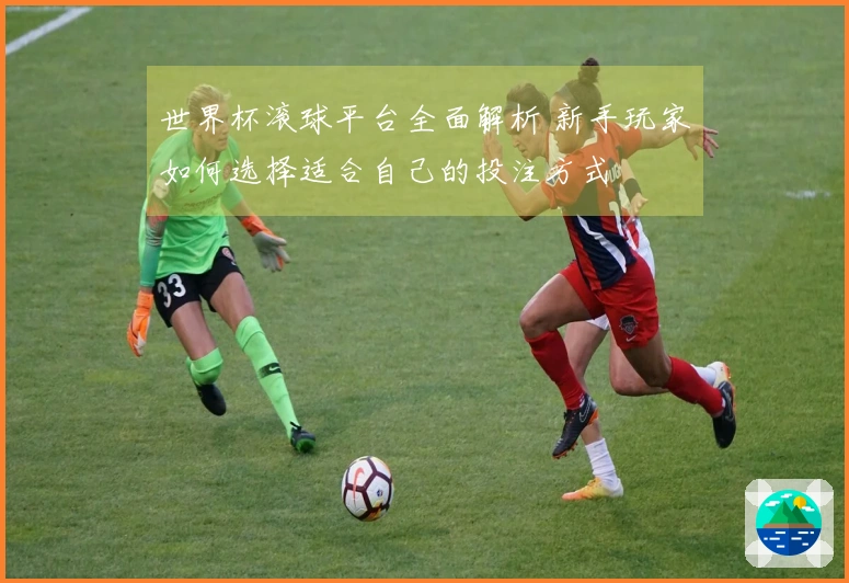 世界杯滚球平台全面解析 新手玩家如何选择适合自己的投注方式