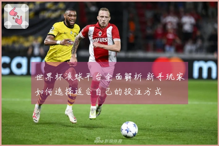 世界杯滚球平台全面解析 新手玩家如何选择适合自己的投注方式