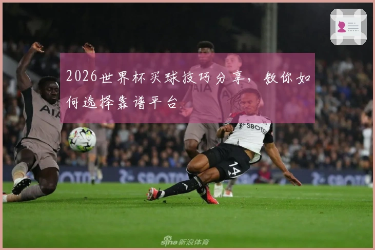 2026世界杯买球技巧分享，教你如何选择靠谱平台