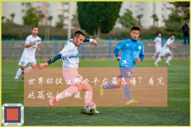 世界杯投注哪个平台最靠谱？看完这篇你就知道了