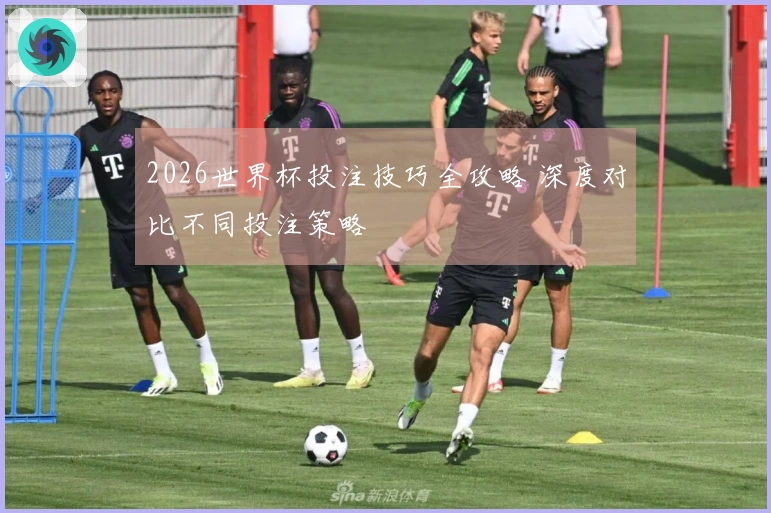 2026世界杯投注技巧全攻略 深度对比不同投注策略