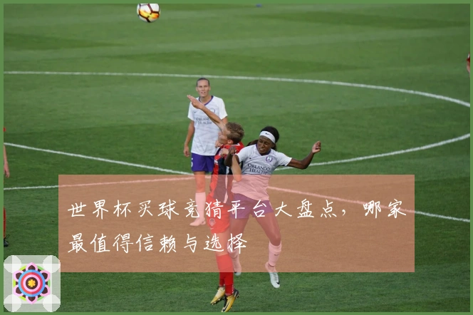 世界杯买球竞猜平台大盘点，哪家最值得信赖与选择