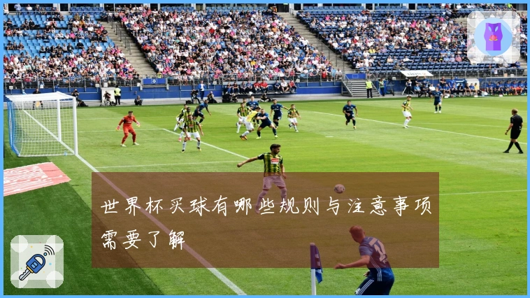世界杯买球有哪些规则与注意事项需要了解