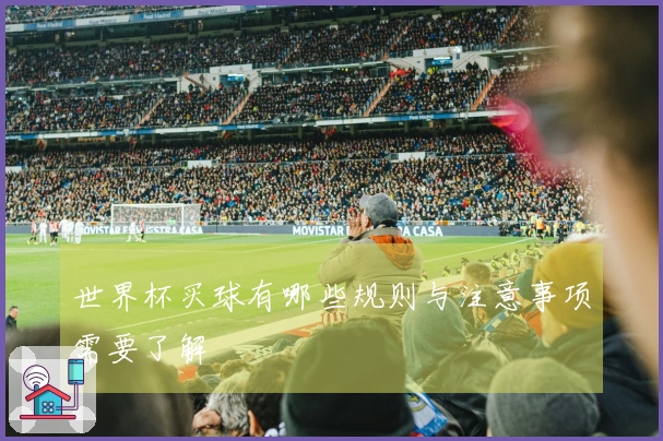 世界杯买球有哪些规则与注意事项需要了解
