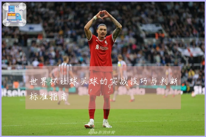 世界杯让球买球的实战技巧与判断标准指南